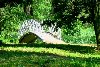 Romantyczny mostek w parku
