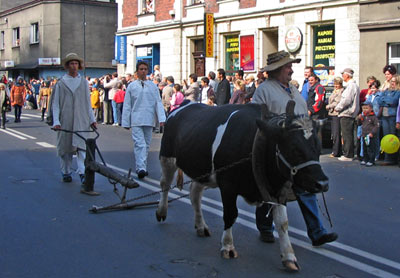 Gwarki 2007 - rolnik Rybka