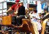Pochd - Marysieka - ukochana Sobieskiego