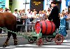 Pochd - Sedlaczek