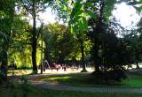 Park - Miejski - plac zabaw