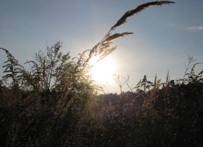 Zachd soca nad Rezerwatem Segiet